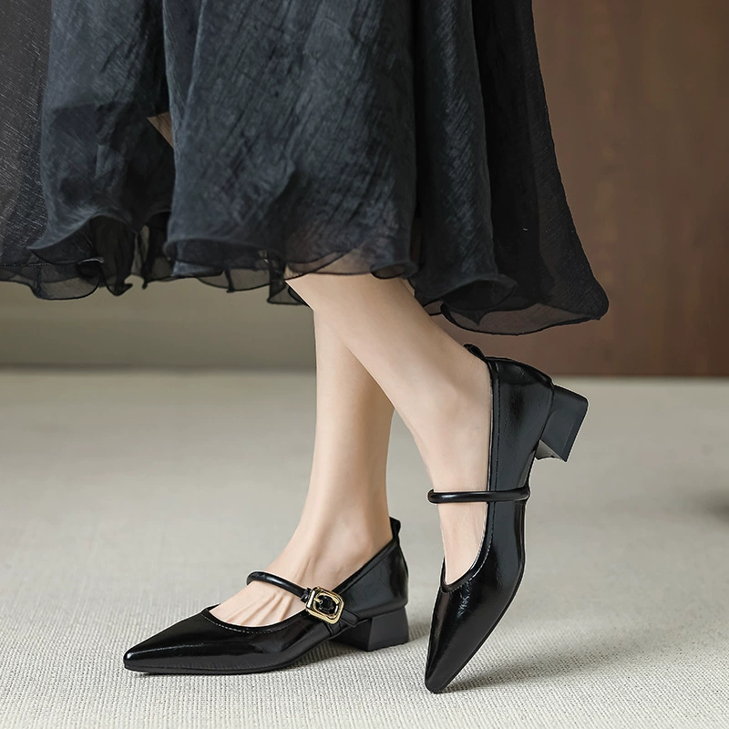 French pointed single shoes female 2025 new low-heeled light mouth buckle thick heel Maryzhen small leather shoes y303-2