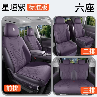 Four Seasons Pad – car special zero-run C16 six-seat - xingchuan-purple-six-seater-standard-edition-3