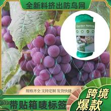 跨境果园防鸟防虫保护网绿植防护网pe防护网葡萄樱桃果树防鸟网