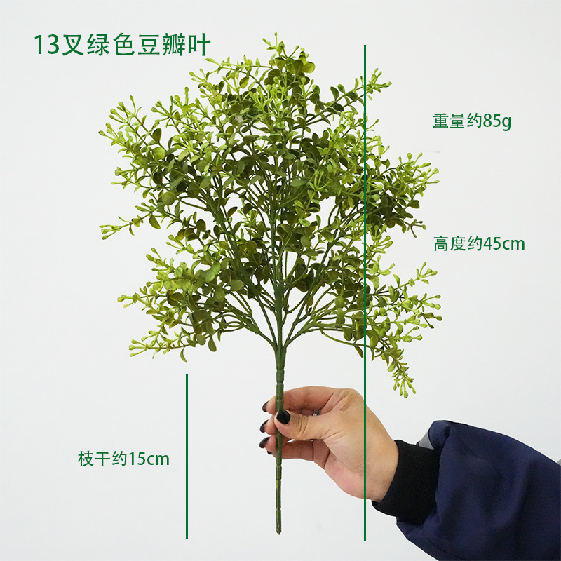 짧은 가지 녹색 물냉이 잎 13개