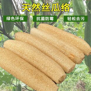 多功能厨房清洁布