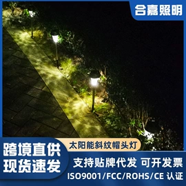 草坪灯;太阳能灯;埋地灯