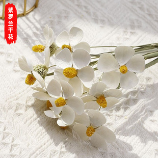 �����Ȼ�ɻ��������^���_�m�����m�Ҿ�ܛ�b��ƿ�廨�Ĕz�ɻ���ˇ