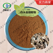 白头翁提取物  白头翁粉 比例萃取 、 工厂现货|包邮  白头翁浓缩