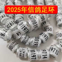 _hh2025ӭhyһhӛ̖hþh