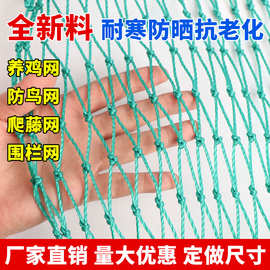 渔网养殖网鸟网鸡网捕鱼网围网护栏网防鸟网天网顶网爬藤网养鸡网