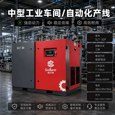 Factory Screw-Type Air Compressor: Hava kompressorları - intentional-investment-30kw-medium-sized-industrial-workshopautomation-production-line