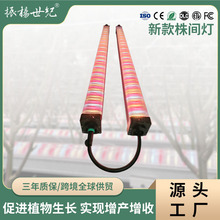 ���g���t��660nm���aֲ�����L���Nֲ�M��������ܴ����߲��a���