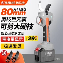 ���R��늄Ӽ���������֦�����ʽ�@���늼��ӏ�����֦����֦����