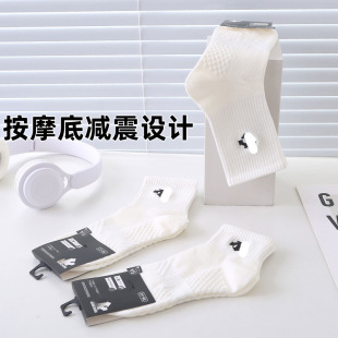 �ϼ�DST��Ħ�׾������m�ļ�����Ůͬ�����e�\���m�ӬF؛���l���l