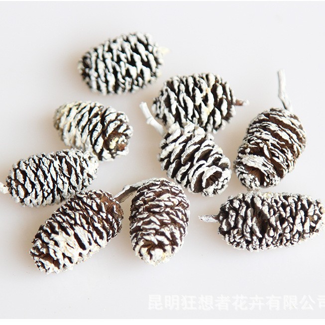 Da Shui Yangzi màu trắng (một túi 20 gam, khoảng 16 chiếc)