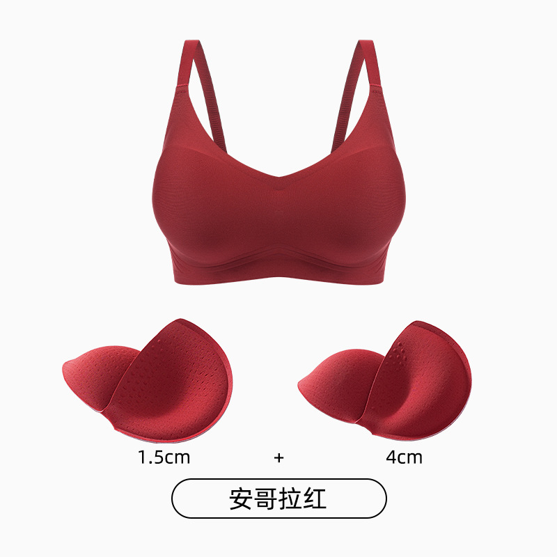 앙고라 레드