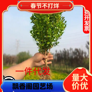 һ�����lС�~�S������ӈ@�־G�������Ϸ������Nֲ�S��ͥԺ������