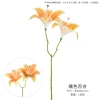 Simulated 3D double-headed orange lily