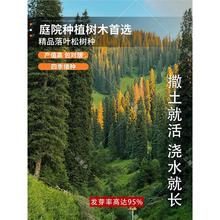 ���|��ľ�N���~�ɷN���ձ����~�ɷN���S���ɷN�ļ��L�G��N��