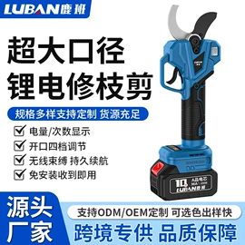 电链锯;割草机;洗车水枪