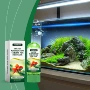 清洁除臭清澈水质净水片