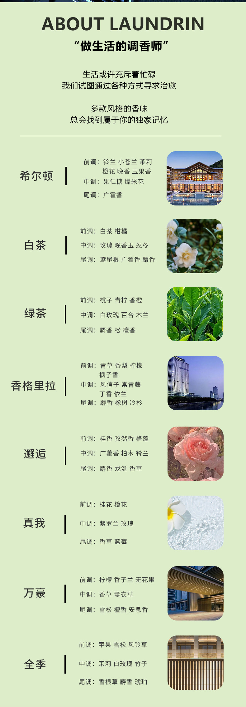 500ml车载香薰机专用_06.jpg
