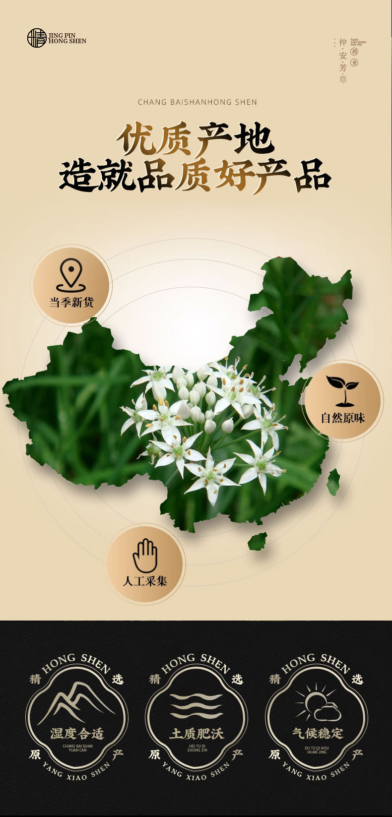 Jiu Cai Zi (Allium tuberosum) — Dried Chive Seeds for Infusion & Herbal Wine overview