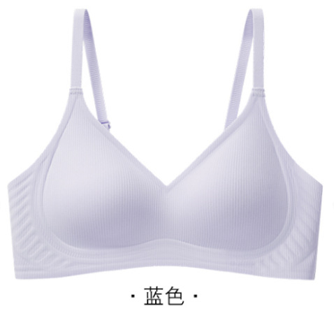 Venta directa de fábrica comercio electrónico transfronterizo Sudeste de Asia Vietnam Tailandia damas soporte superior simple sin costuras colección lateral sujetador