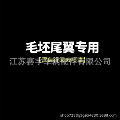 Fixed wind wing plus tail Qin Pro/EV sports - qin-plusqin-prodestroyer-05-blade-tail-blank