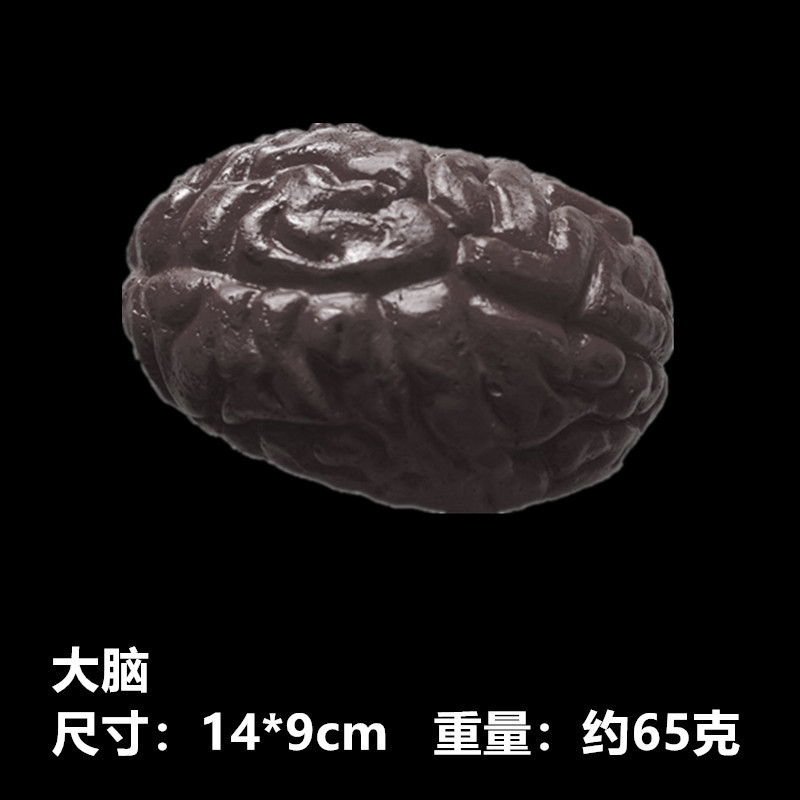 大脑尺寸图