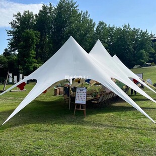 Campsite Equipment Canopy Tent Outdoor Large Three Peaks Twin Peaks Wanheavy Mountain Tent Genting Thickened Awning