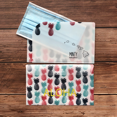 樂瓜現貨批發卡通口罩收納夾 口罩便攜暫存夾防塵塑料口罩收納袋