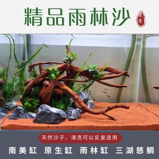 �Ꭷ��Ʒ����ɳ�~�׵�ɳ��������������ɳ�����߲������쾰��ɳ