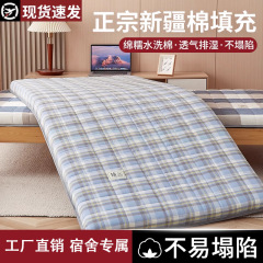 棉花床垫遮盖物家用软垫卧室褥子榻榻米床褥垫宿舍学生单人垫被