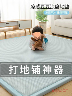 Class a Liangdoudou Summer Mat Mattress Tatami Floor Mat Nap Mat Home Bedroom Floor Sleeping Cushion