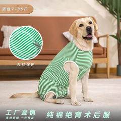 犬の離乳、滅菌、トラウマ手術服、国境を越えたラブラドール、中型犬と大型犬の純綿ペット服