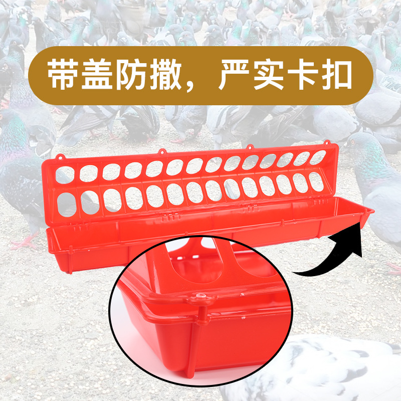 Comedero automático rectangular para pollo, codorniz y paloma, cajón de alimentación para aves de corral