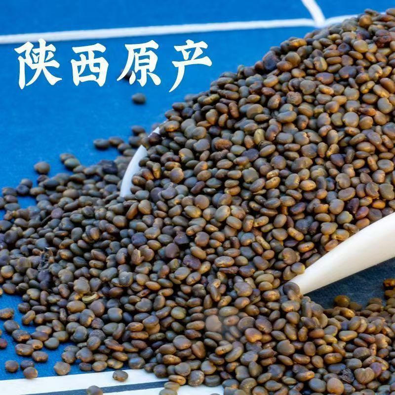 Sha Yuan Zi Powder 500g Astragalus Cistanche Free Herbal Powder for Daily Tea and Culinary Use quality and texture