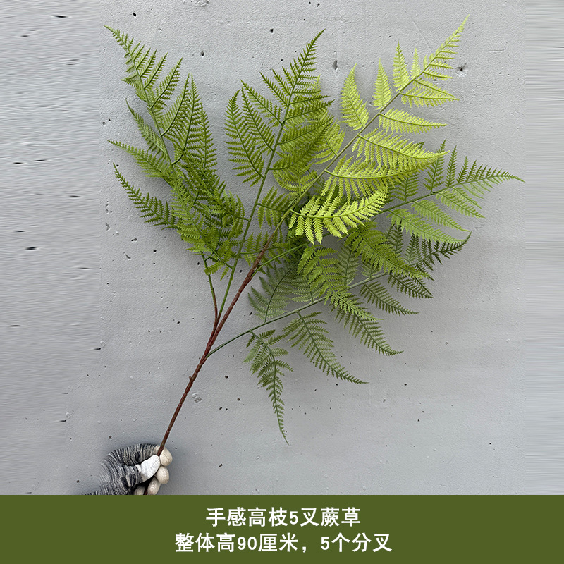 촉감이 좋은 고가지 5갈래 고사리풀 - 녹색