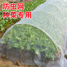 ���x�W�N�ˌ��þW60Ŀ���x�ּ��ܼ��W����˵ع��@�W�߲˷��B��