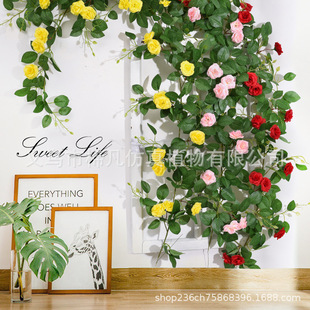 �����ٗlõ��ڒ�ٻ���������b��w�b��m�����@�������