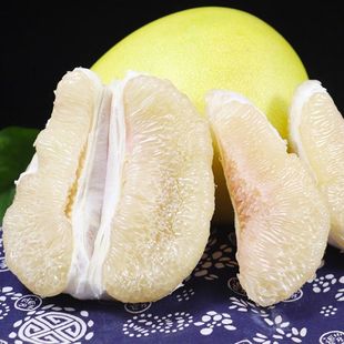 ̨����h�ĵ�����޽��������ĵ����Ә���ͥԺ�������Թ�����