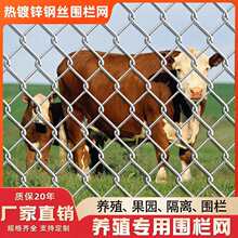 ����\�F�z�W䓽z���@���ھWȦţ���i���P���o�W�B�u�����x�o�ھW