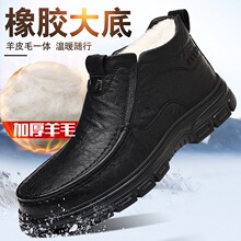 2026�¿����ʿ��Ь��Ƥ����ëƤЬ�ӽq��ů������e�ߎͰְ�Ь