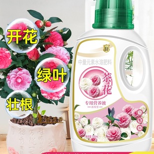 Camellia Nutrient Solution, Camellia Fertilizer, Flower Blooming Liquid Fertilizer, Acidic Plant Nutrient Solution