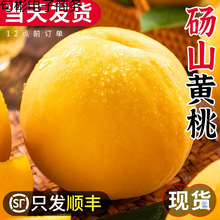 砀山黄桃10斤新鲜水果当季毛桃子整箱应季黄肉脆甜油蜜桃大果包邮