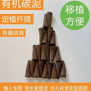 �o������Nֲ���|���g�����綨ֲ�̨�҃�ˮ��̼�ޟo��̼������