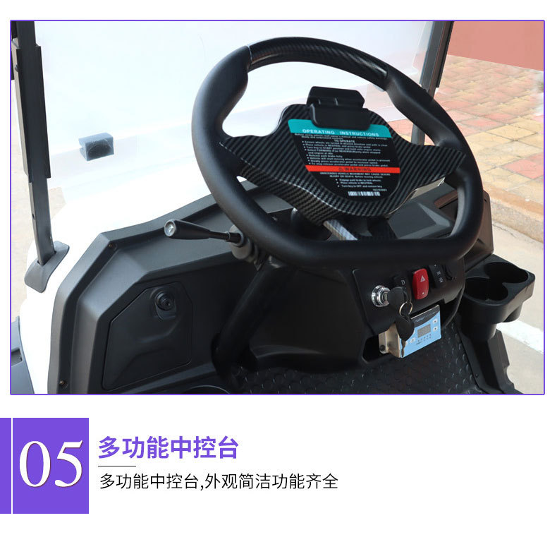 Enclosed Box-Type Four-Wheel Cargo Truck, Multi-Door Electric Truck, Small Foreign Trade Export Van, Electric Food Delivery Truck