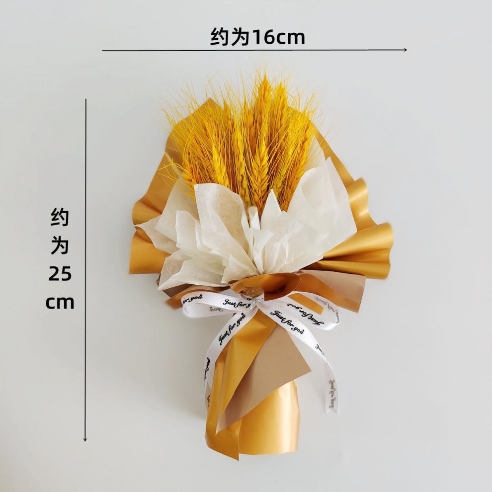 f35f1a89-bea3-4b2b-a0d7-0571d66148ba.jpe