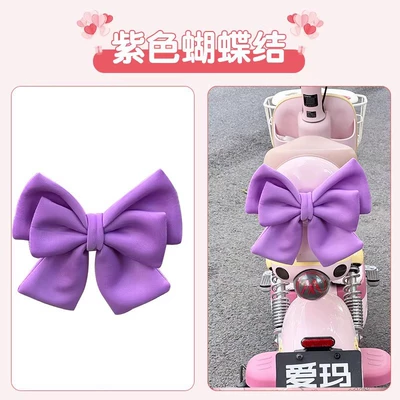 Other Electric Vehicle Accessories | color - purple