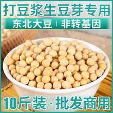 黄豆打豆浆专用2斤5斤10斤东北能的散装发黄豆芽豆黑龙江省小黄豆