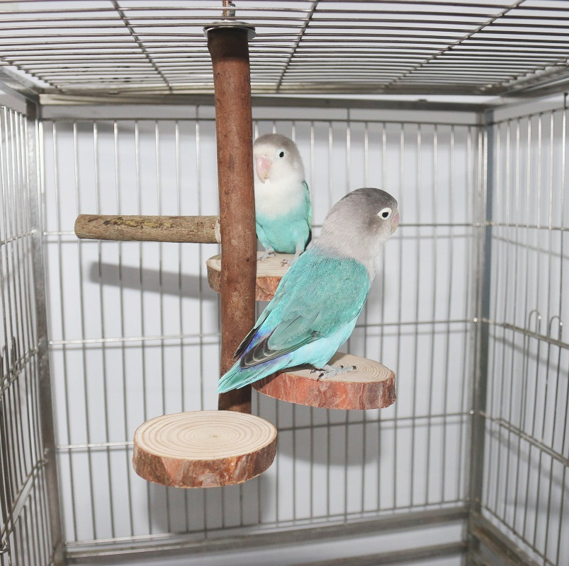 鳥站架活動站板站台棲木站棒站杆鸚鵡啃咬玩具鳥籠配件鳥玩具