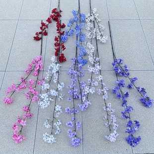 �a��؛Դ ���滨 2���֦�滨 ��c·���b� �Ҿ�ܛ�b