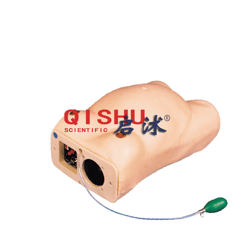 Advanced Computer Pregnant Examination Model Electronic Pregnant Abdominal Palpation Model Prenatal Examination Model Qs/Fw2